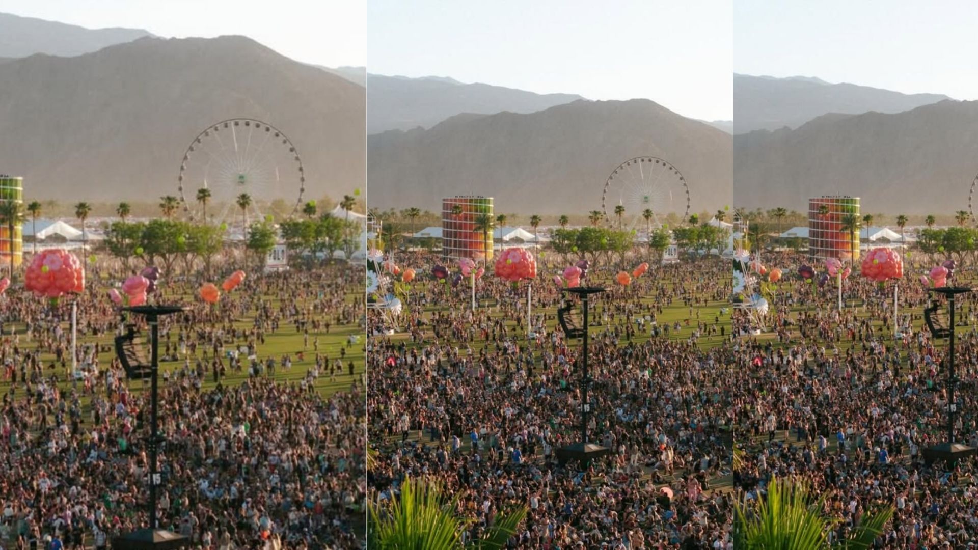 The high prices at the Coachella Music Festival
