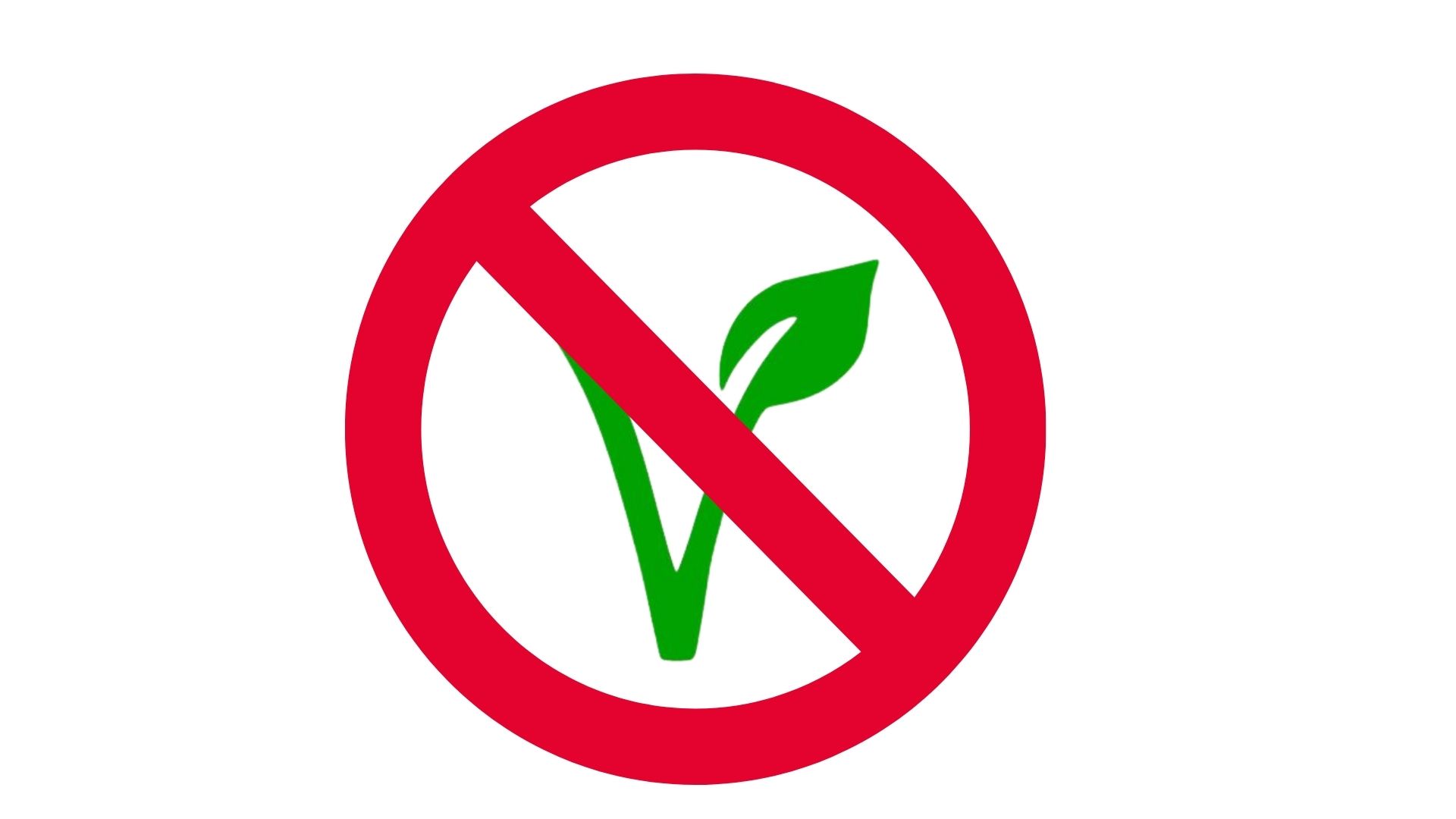 What’s going on with the vegan world? All the vegan foods have disappeared from the supermarkets
